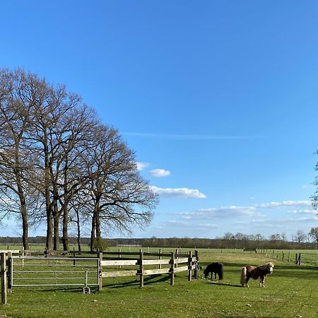 Ferienhof Westermann Waldblick Lähden Εξωτερικό φωτογραφία